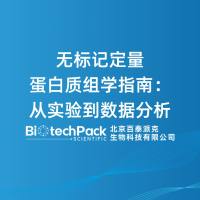 无标记定量蛋白质组学指南:从实验到数据分析