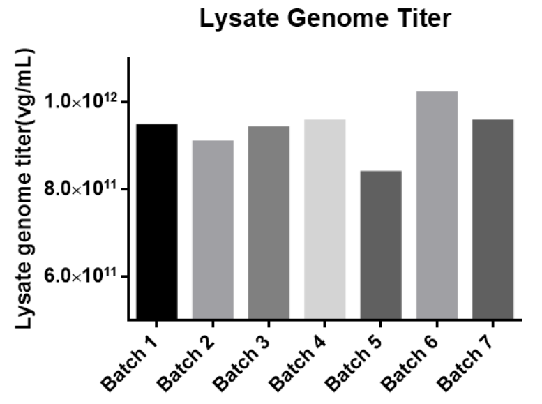Aav上游稳定产量