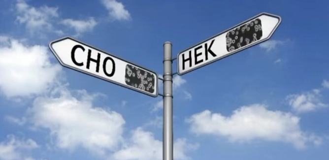 细胞“生病”了？警惕这4个污染原因！