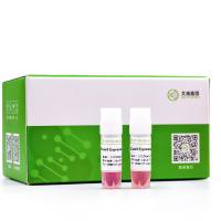 人乳腺癌细胞（MCF7-Cas9）