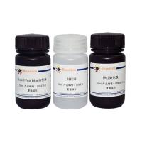 髓鞘染色试剂盒(Luxol Fast Blue-伊红法)