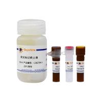 BeyoExo™外泌体标记与示踪试剂盒(PKH26)