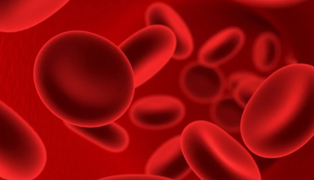 ExoPura® Mag 磁珠法血清/血浆外泌体纯化试剂盒