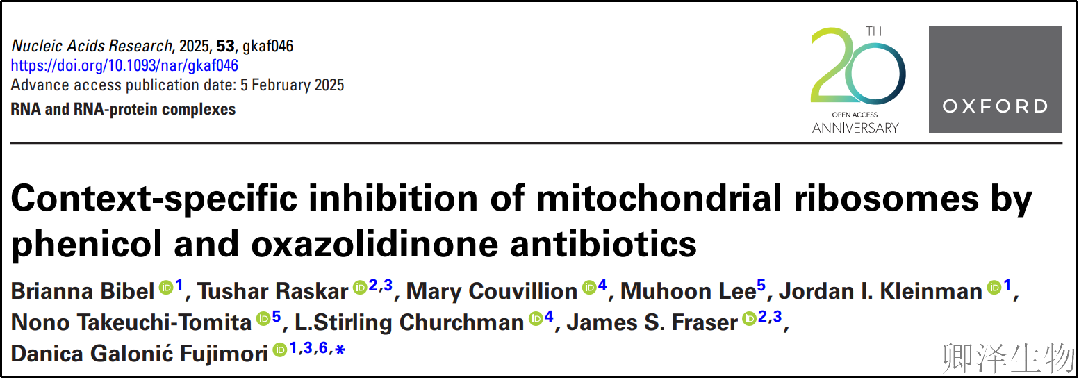 【MitoRibo-seq技术】 | 线粒体暗伤：抗生素的毒性之谜终被破解！