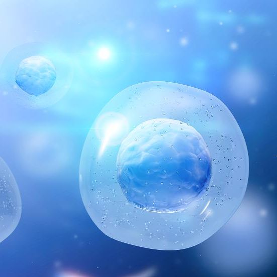 细胞侵袭实验,细胞转移侵袭实验,细胞实验外包