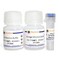 RNA 5’ Pyrophosphohydrolase (RppH)