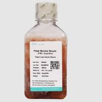 澳洲胎牛血清（ FBS）