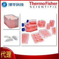 Thermo Fisher Nunc Lab-Tek II 腔室盖玻片 LAB-TEKII 1WELL CVGLASS STERIL 货号:155360