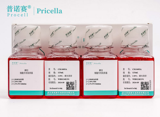 提升增殖效率！BV2细胞专用培养基 (DMEM)葡萄糖浓度与细胞贴壁率关联分析