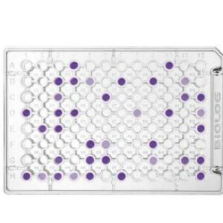 Biolog ECO MicroPlates ECO生态板 货号1506, ECO板