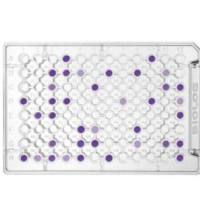 Biolog ECO MicroPlates ECO生态板 货号1506, ECO板