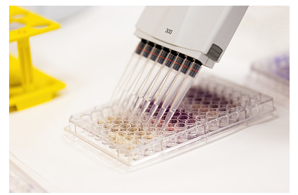 酶联免疫吸附试验ELISA洗板机关键点合集