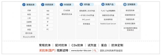 组蛋白 H4乙酰化重组兔单克隆抗体