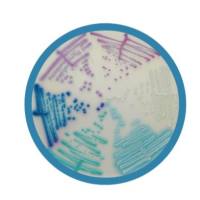 Chromagar法国科玛嘉 显色培养基,增补剂,预制平板,选择性培养基
