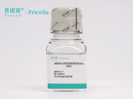 MEM非必需氨基酸溶液(NEAA)100×选购指南：关键成分与稳定性解析