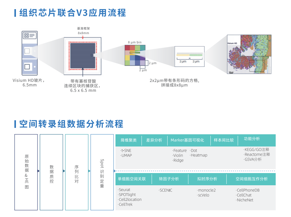 芯空一号-整体解决方案解码微观世界全景图