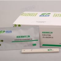 基蛋生物 肌酸激酶同工酶检测试剂盒（荧光免疫层析法）