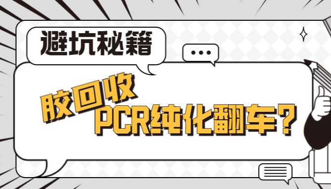  胶回收/PCR纯化翻车？避坑秘籍助你高效回收！