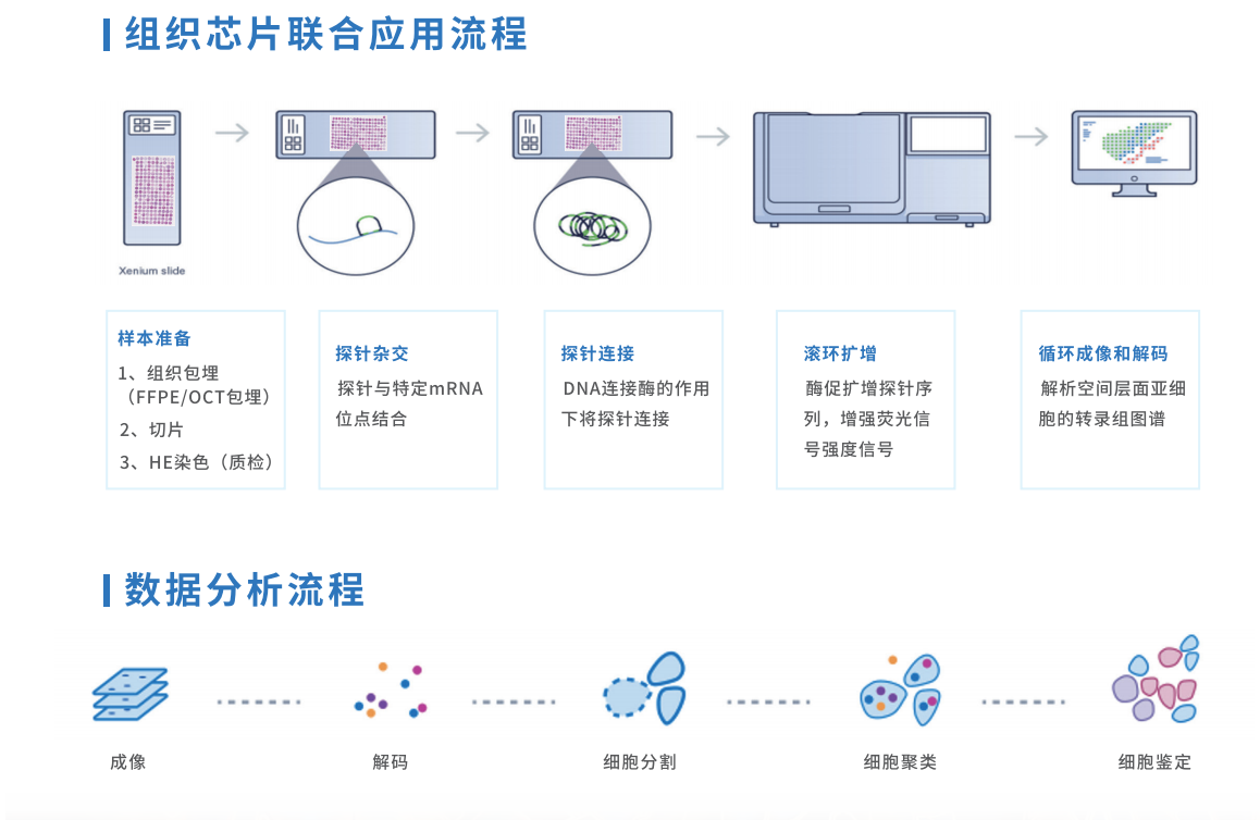 芯空一号-整体解决方案解码微观世界全景图