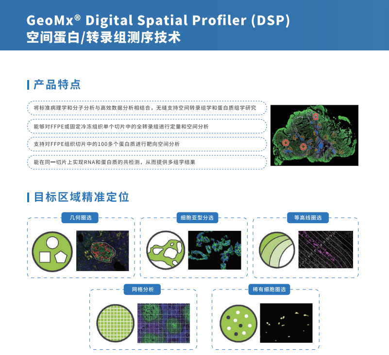 芯空一号-整体解决方案解码微观世界全景图