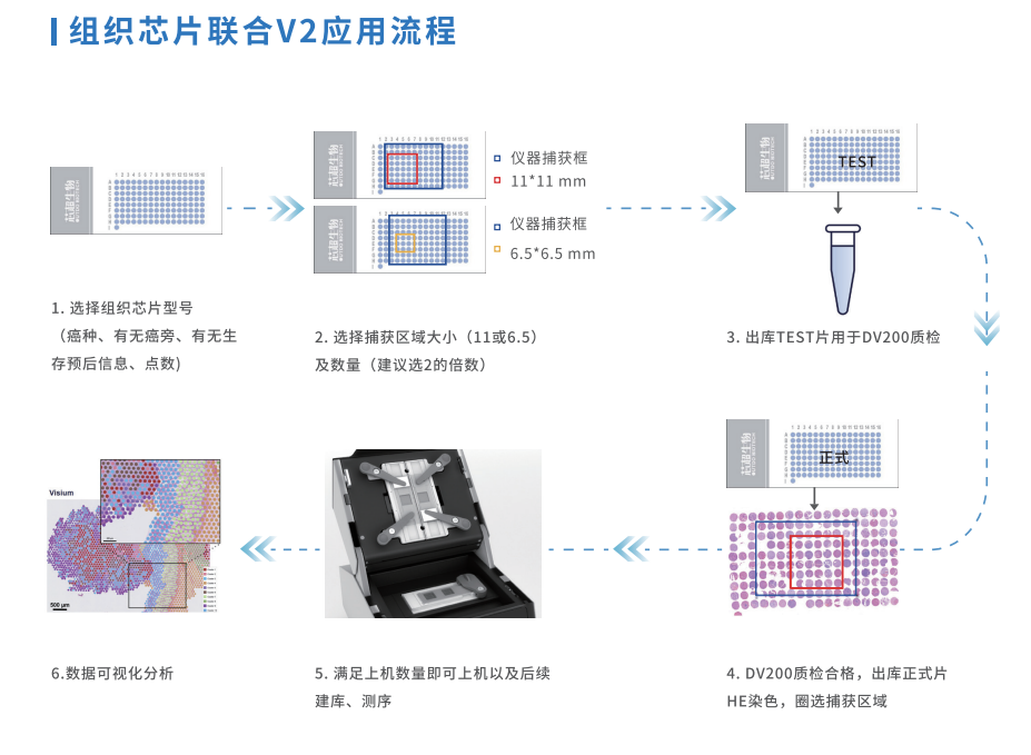 芯空一号-整体解决方案解码微观世界全景图