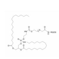 RGDS-PEG-DSPE Arg-Gly-Asp-Ser-PEG-DSPE DSPE-PEG-RGDS 整联蛋白靶向肽-聚乙二醇-磷脂