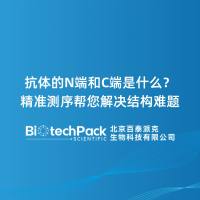 抗体的N端和C端是什么？精准测序帮您解决结构难题