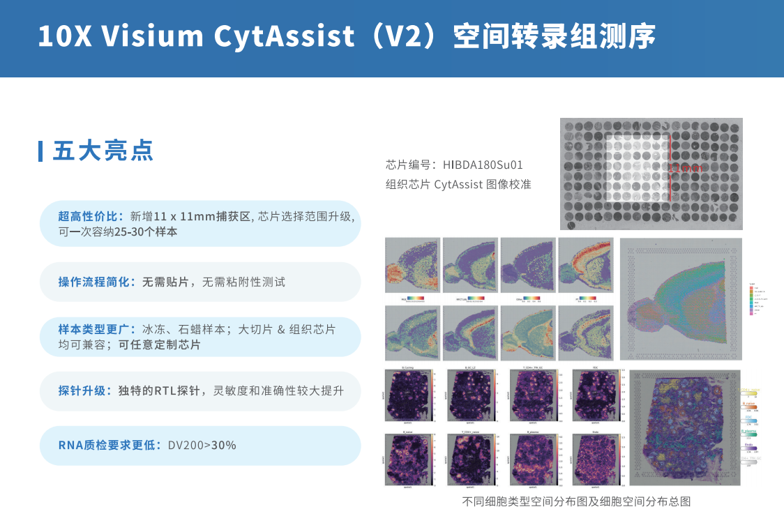 芯空一号-整体解决方案解码微观世界全景图
