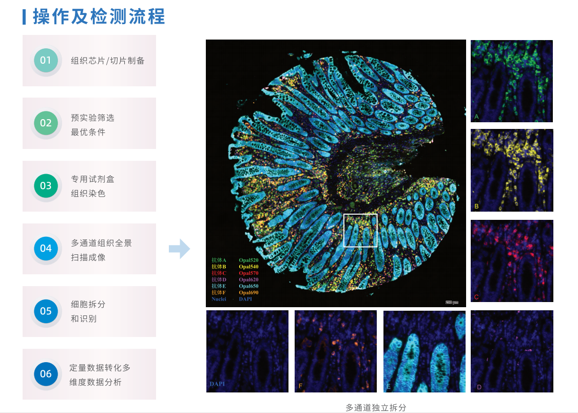 芯空一号-整体解决方案解码微观世界全景图