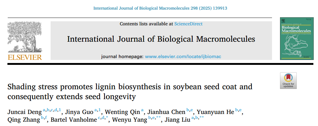 IJBM｜四川农大刘江教授团队发现大豆种子寿命延长的关键密码——遮光胁迫促进木质素生物合成