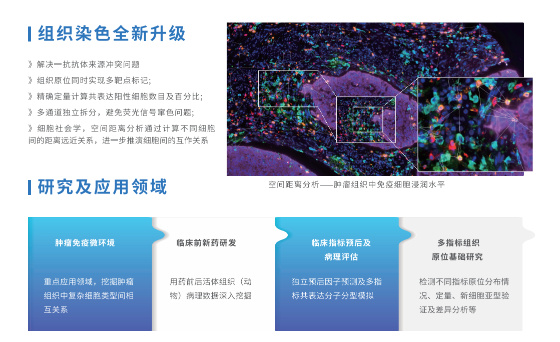 芯空一号-整体解决方案解码微观世界全景图