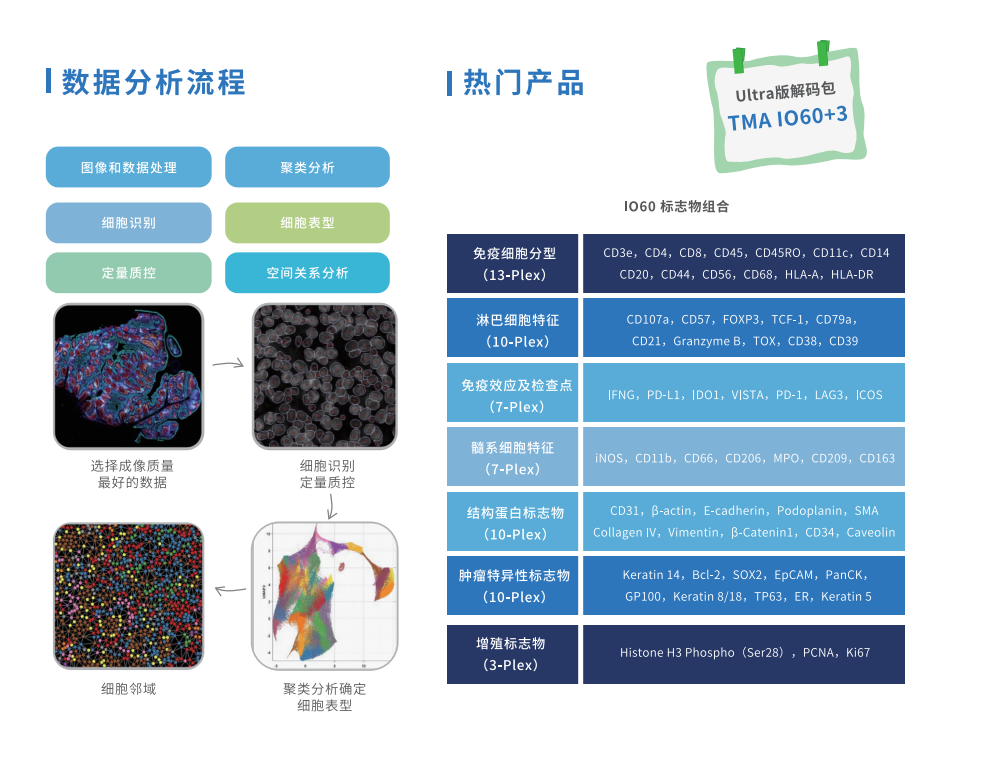 科研技术服务（组织芯片/组织cDNA芯片定制，分子病理检测，