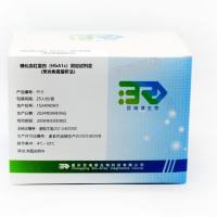 重庆百瑞德 糖化血红蛋白（HbA1c）测定试剂盒（荧光免疫层析法）