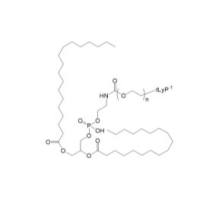 CGNKRTR-PEG-DSPE tLyP-1-PEG-DSPE DSPE-PEG-tLyP-1 NRP-1 靶向肽-聚乙二醇-磷脂