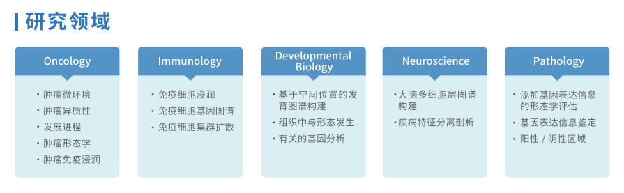 芯空一号-整体解决方案解码微观世界全景图