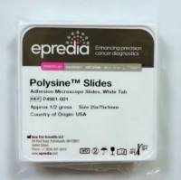 Epredia 艾普迪  5991040  Single Cytofunnel 细胞离心漏斗