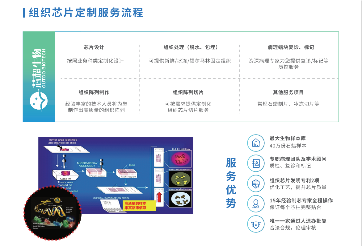芯空一号-整体解决方案解码微观世界全景图