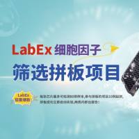 IFN-γ,IL-1β检测,多重elisa检测服务