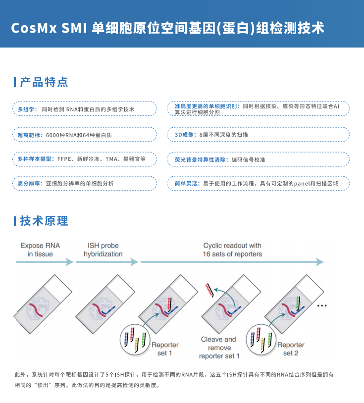 芯空一号-整体解决方案解码微观世界全景图