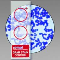 Remel QC-Slide染色质控品 AFB染色质控片R40144，革兰氏染色质控片R40140等