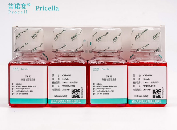高活性NK-92细胞扩增秘诀：专用培养基的细胞因子优化配方解析