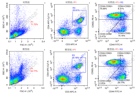  Elabscience 精准解析小鼠T细胞状态：从初始到效应与记忆的全方位检测方案