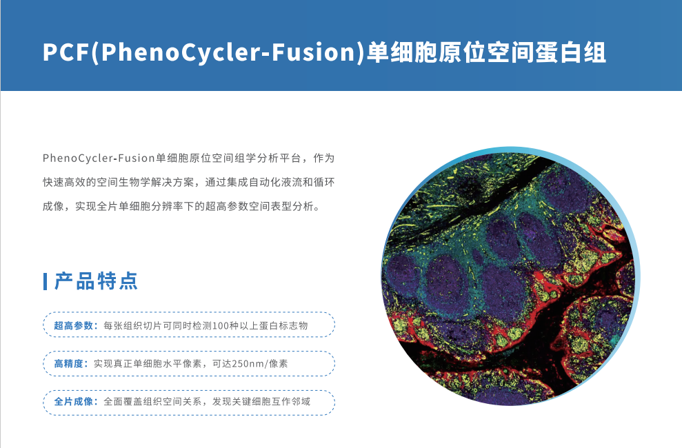 芯空一号-整体解决方案解码微观世界全景图