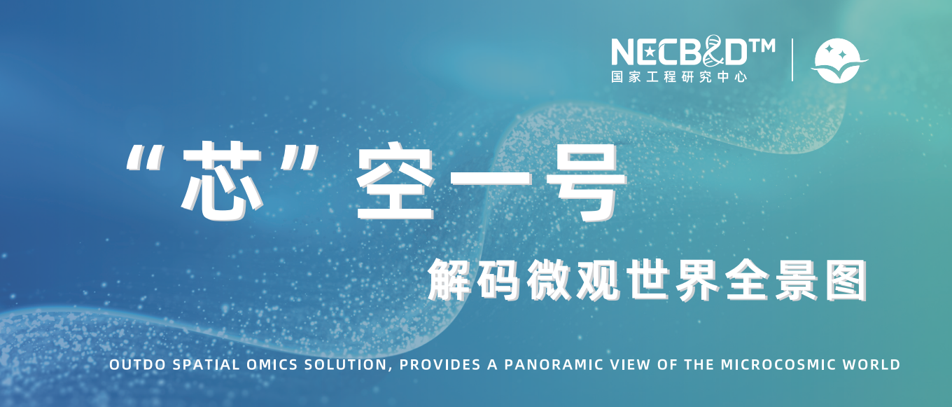 芯空一号-整体解决方案解码微观世界全景图
