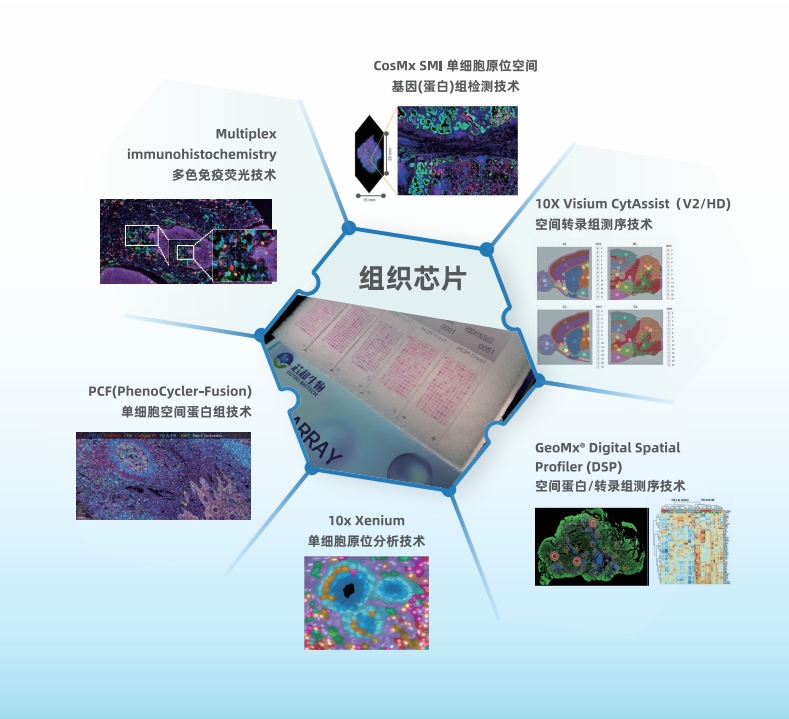 芯空一号-整体解决方案解码微观世界全景图