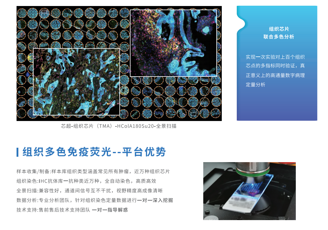 芯空一号-整体解决方案解码微观世界全景图