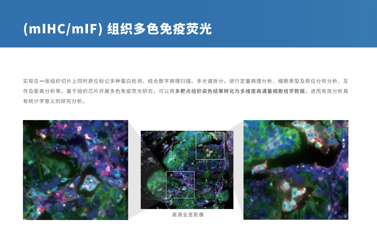 芯空一号-整体解决方案解码微观世界全景图