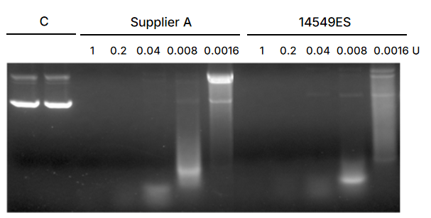 上新 | 翌圣酵母表达DNase l，告别RNA提取中的DNA污染困扰