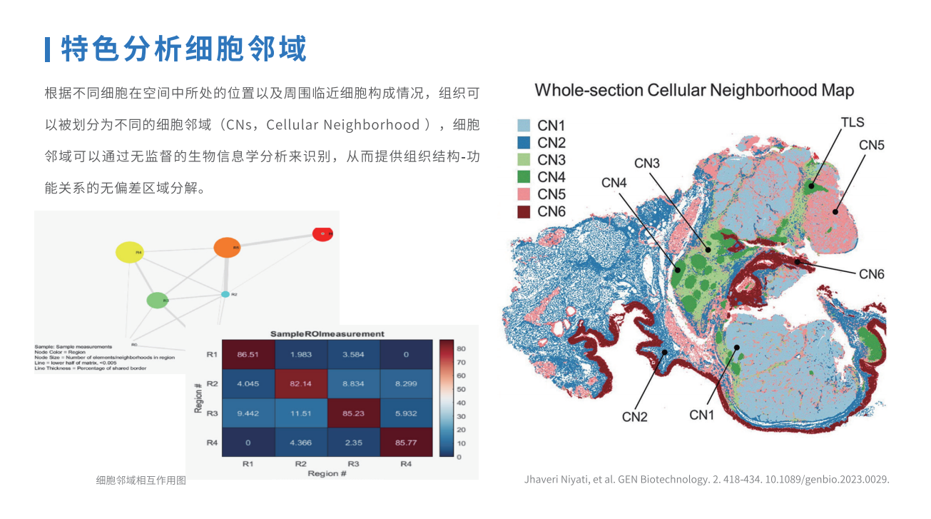 芯空一号-整体解决方案解码微观世界全景图