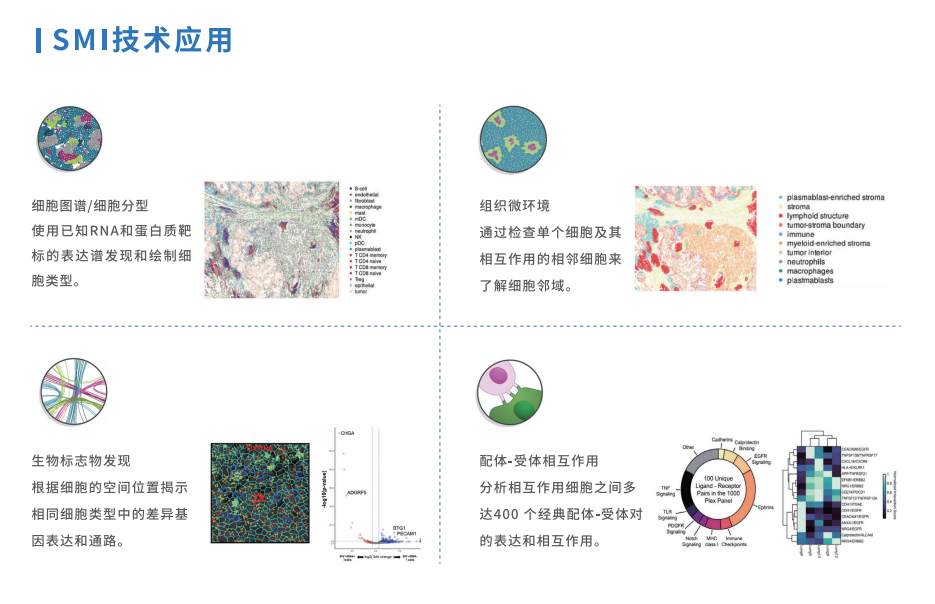 芯空一号-整体解决方案解码微观世界全景图